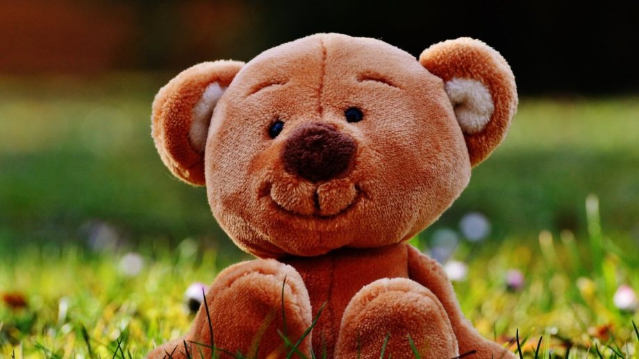 Teddy Bear Wallpapers - WallpaperBoat