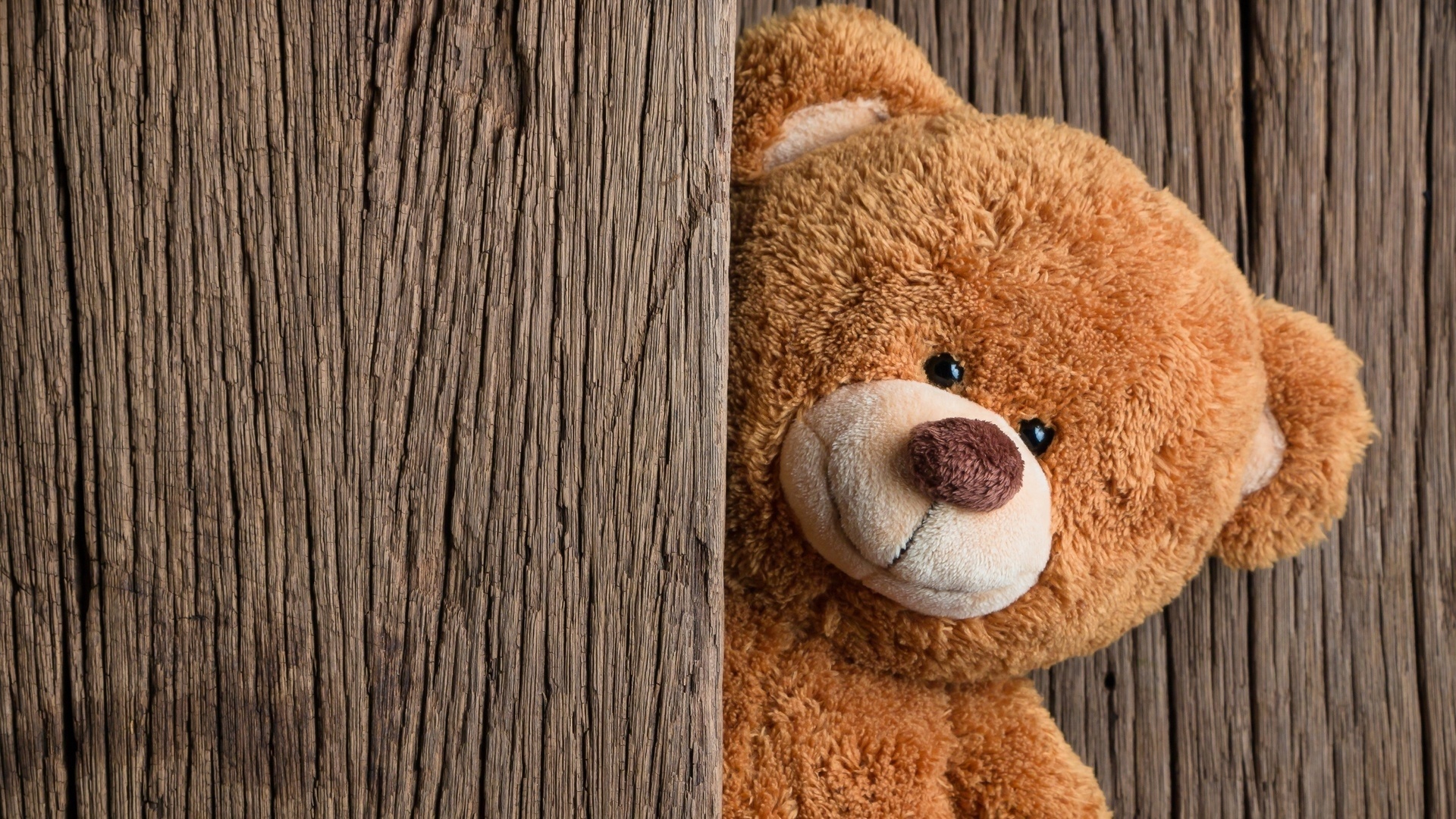 Teddy Bear Desktop Wallpaper
