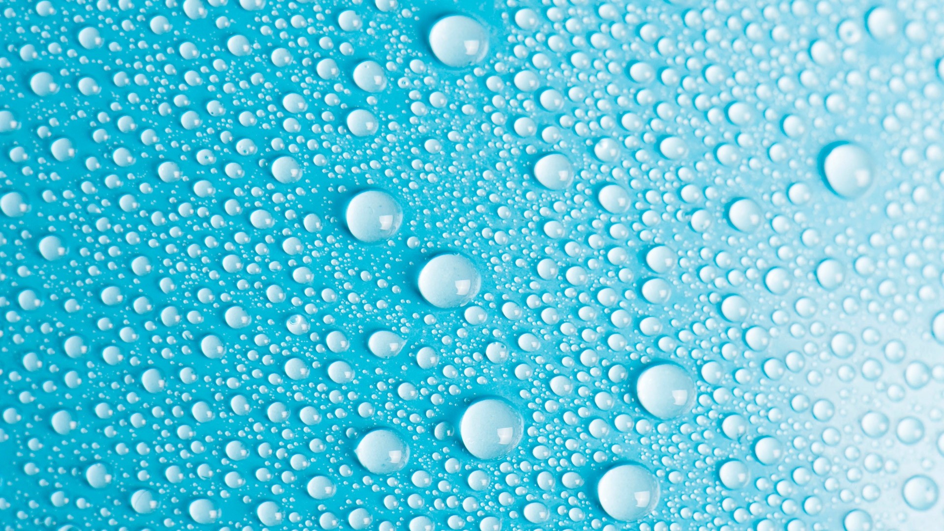 Water Drop wallpaper