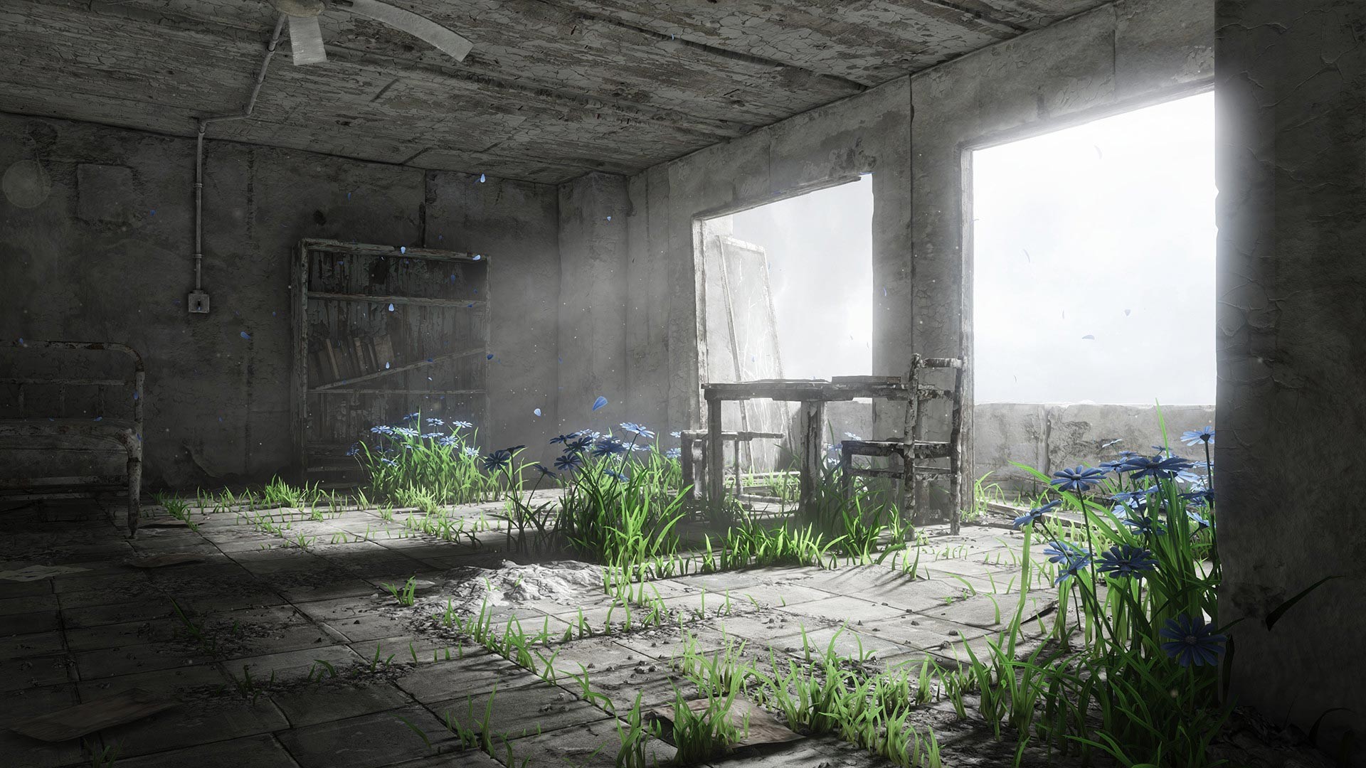 Abandoned Place Wallpaper theme