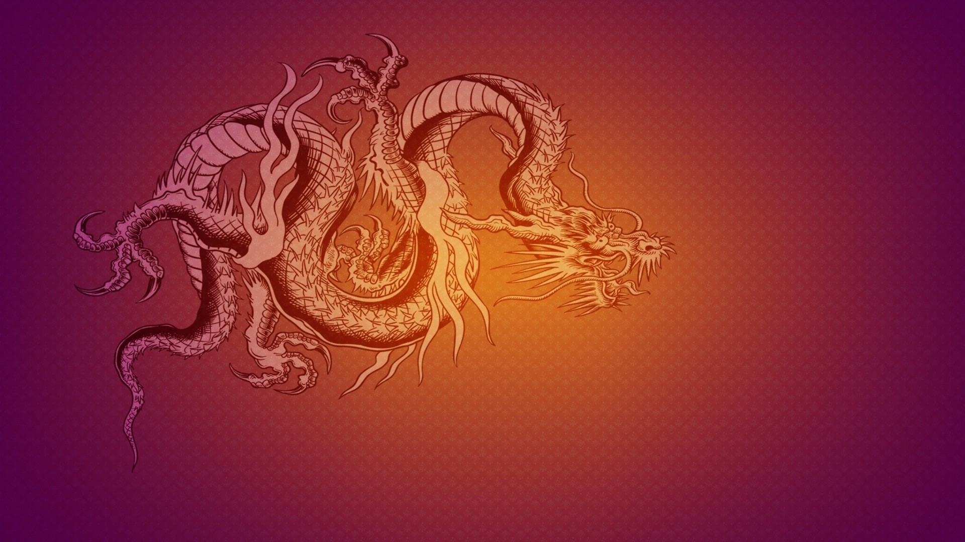 Chinese Dragon Wallpaper Picture hd