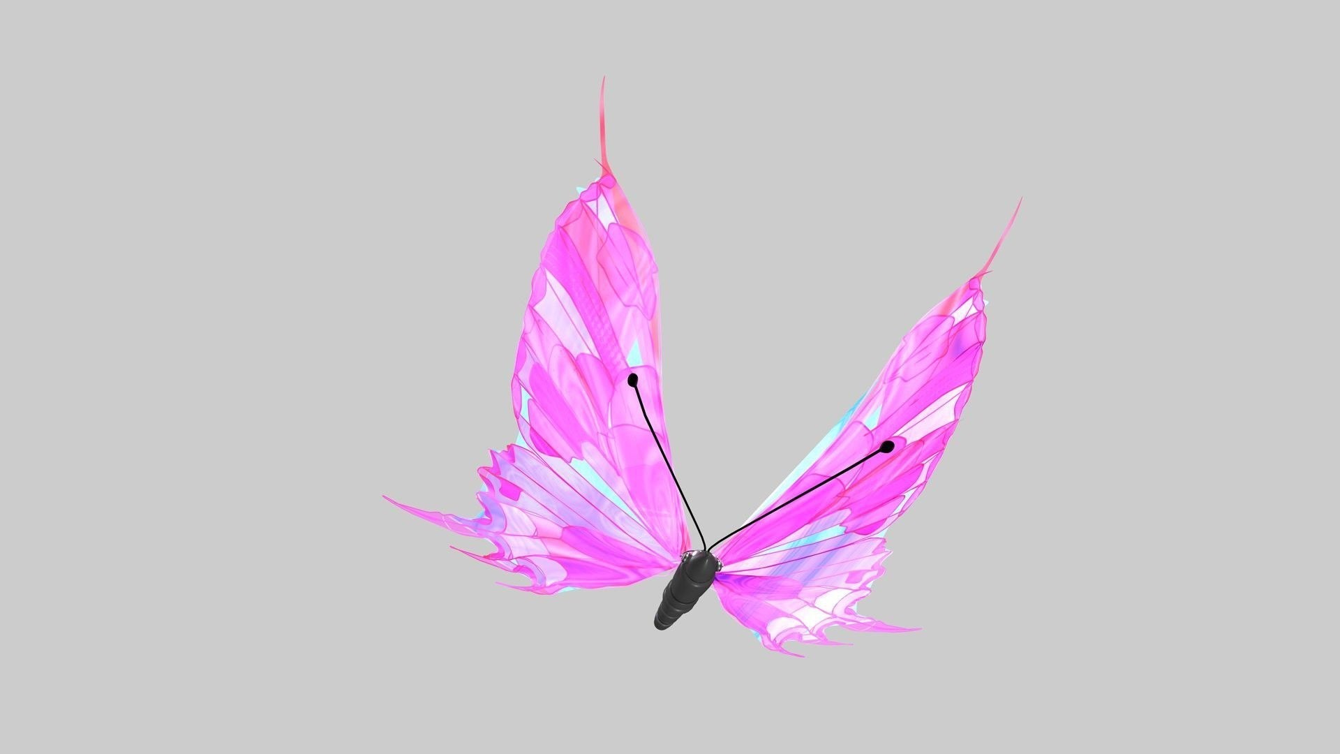 Pink Butterfly Picture