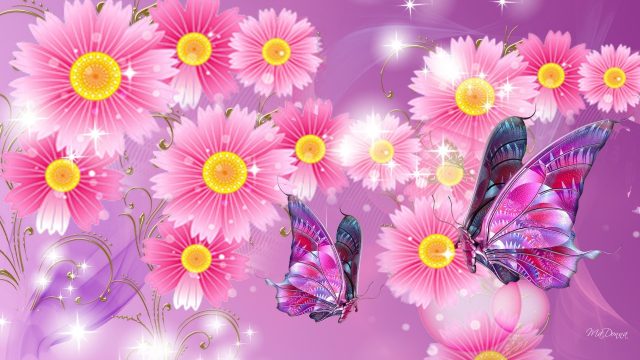 31 Pink Butterfly Wallpapers - Wallpaperboat