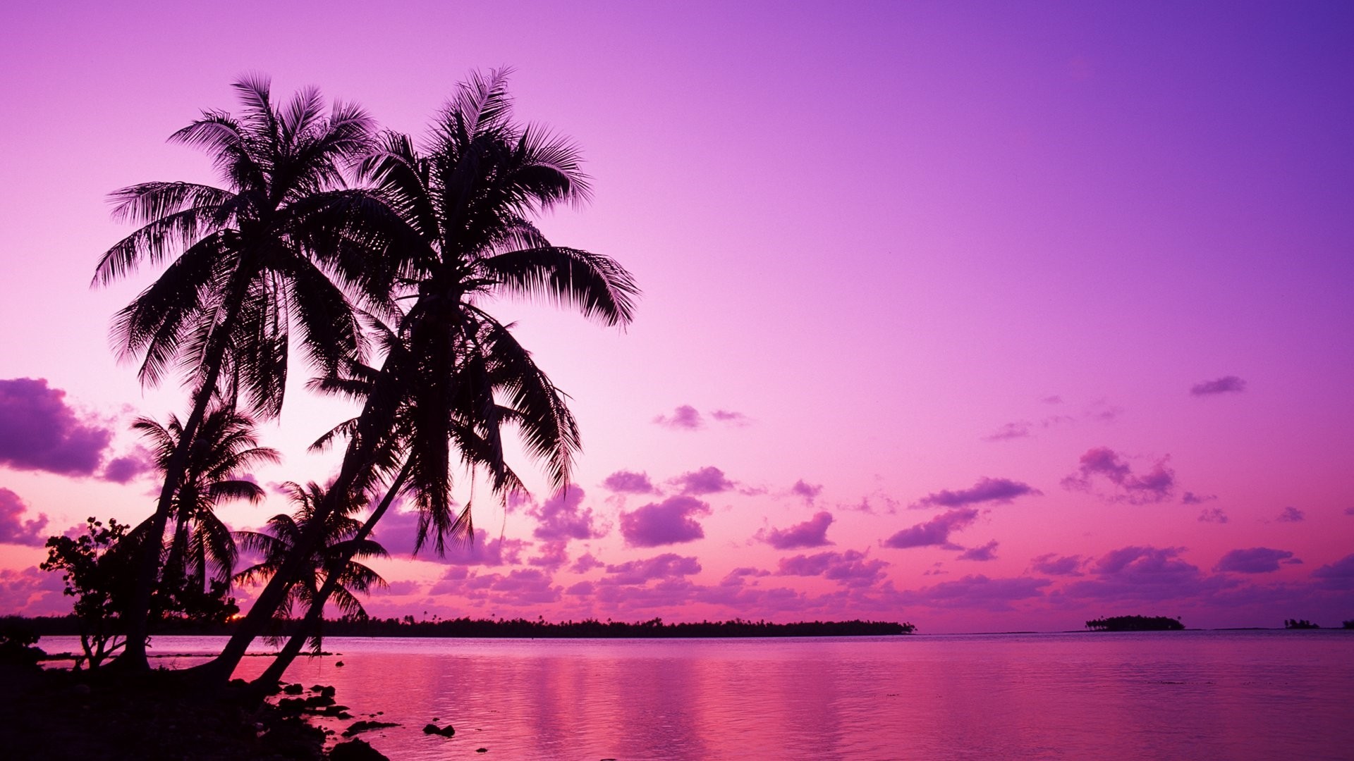 Pink Sunset Desktop Wallpaper