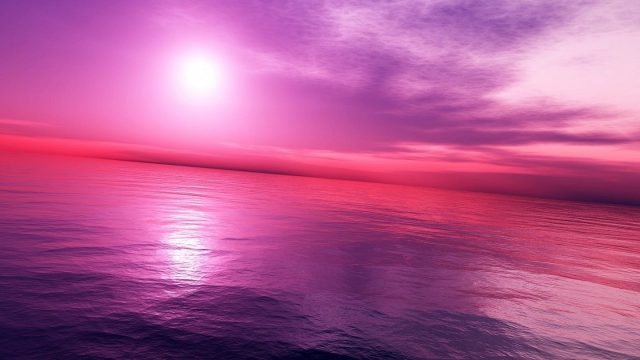 Pink Sunset Wallpaper for pc