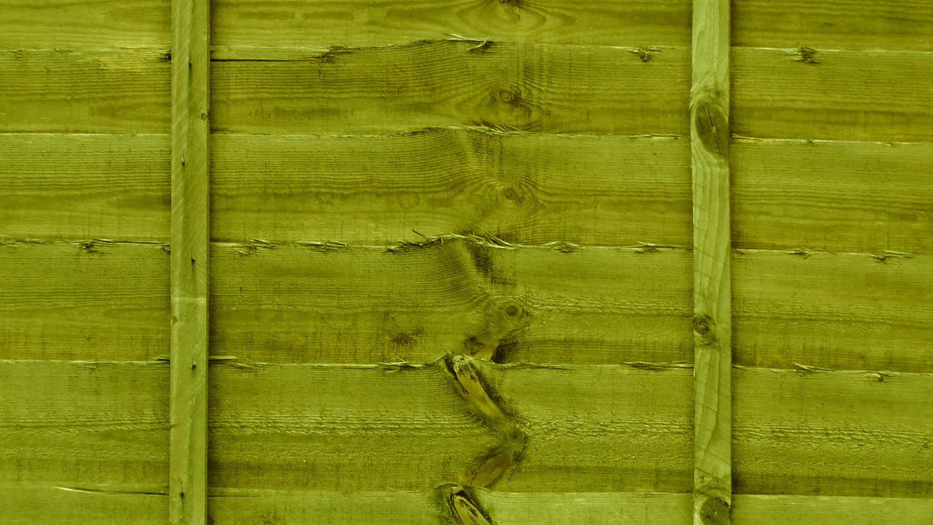 Olive Green HD Wallpaper