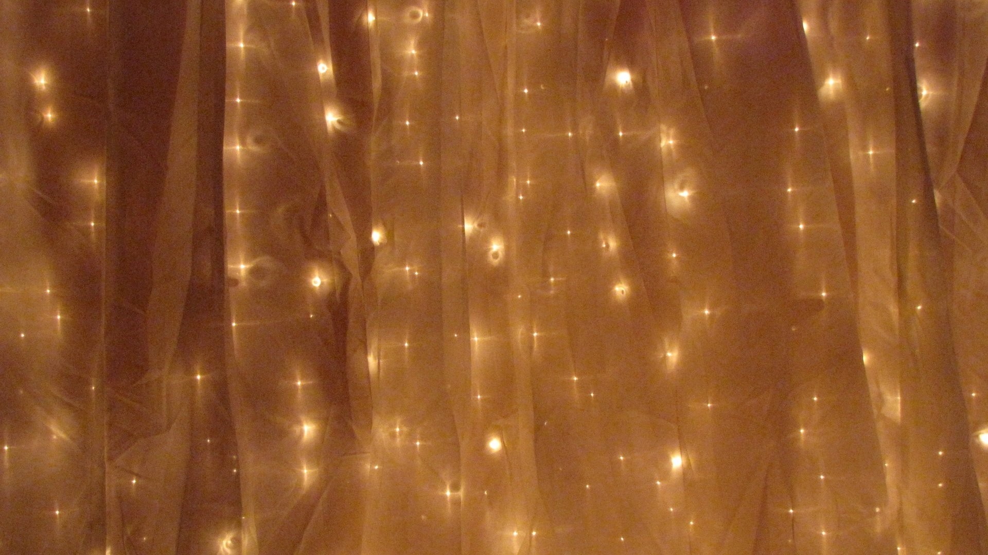 Fairy Lights Picture