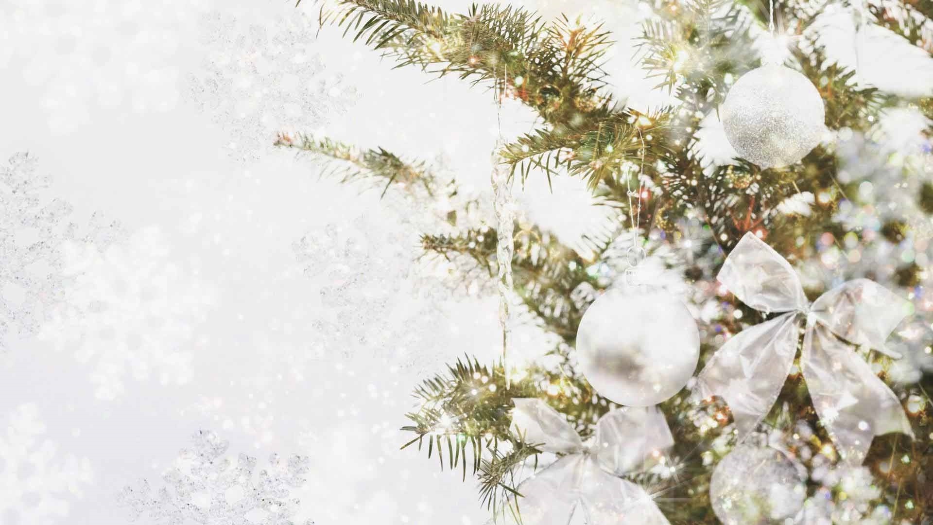 Christmas White Background