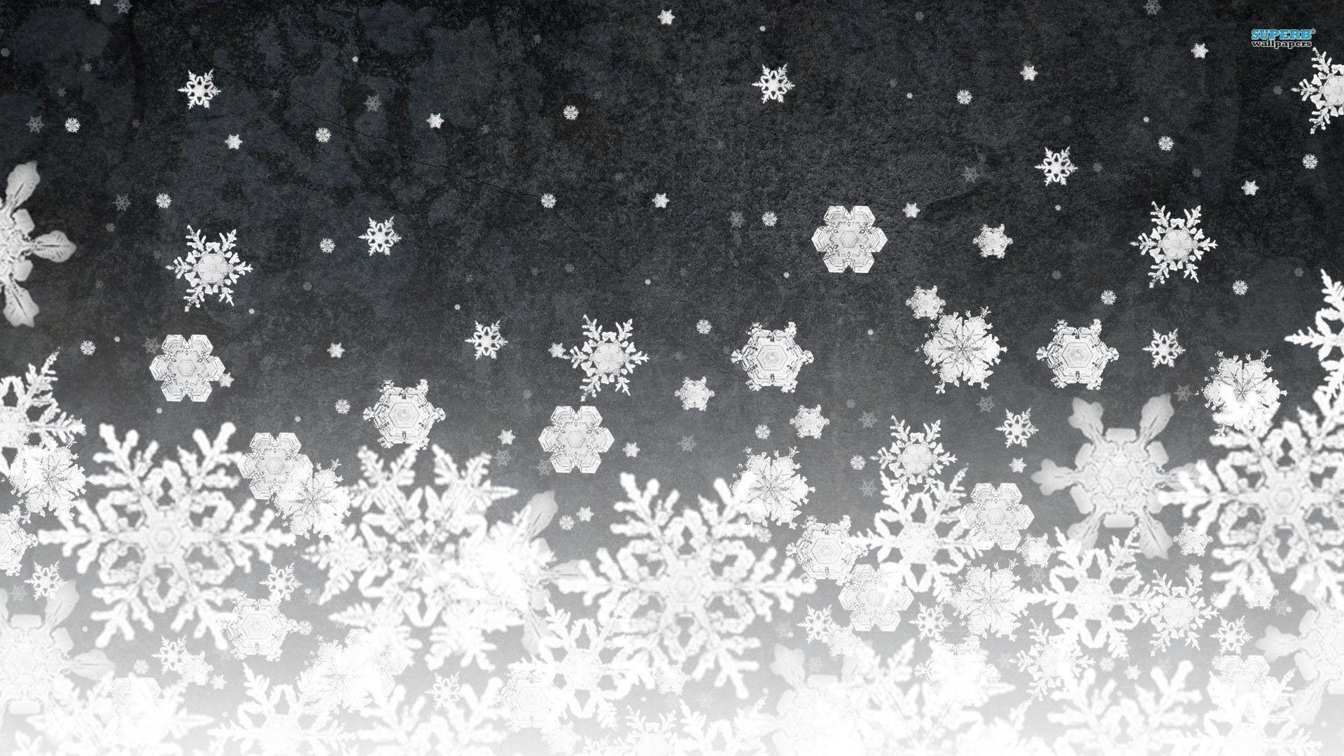 Christmas White Background