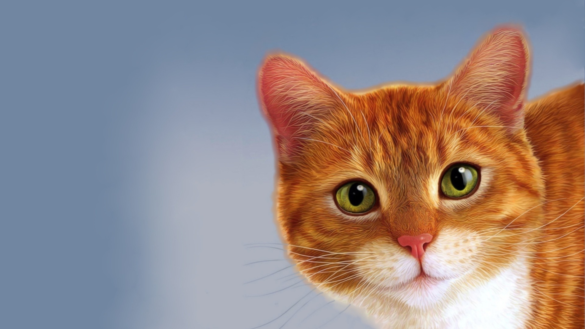 Ginger Cat Desktop Wallpaper