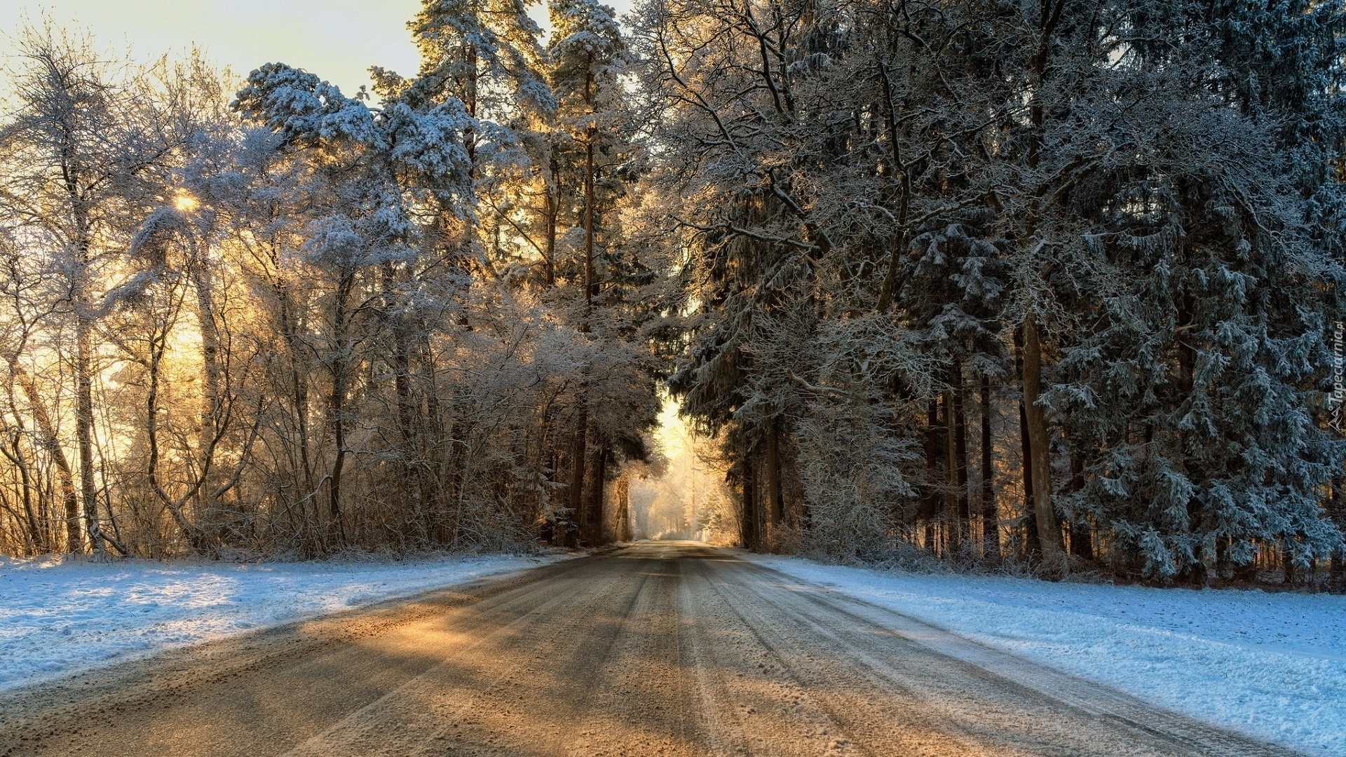 Winter Road HD Wallpaper