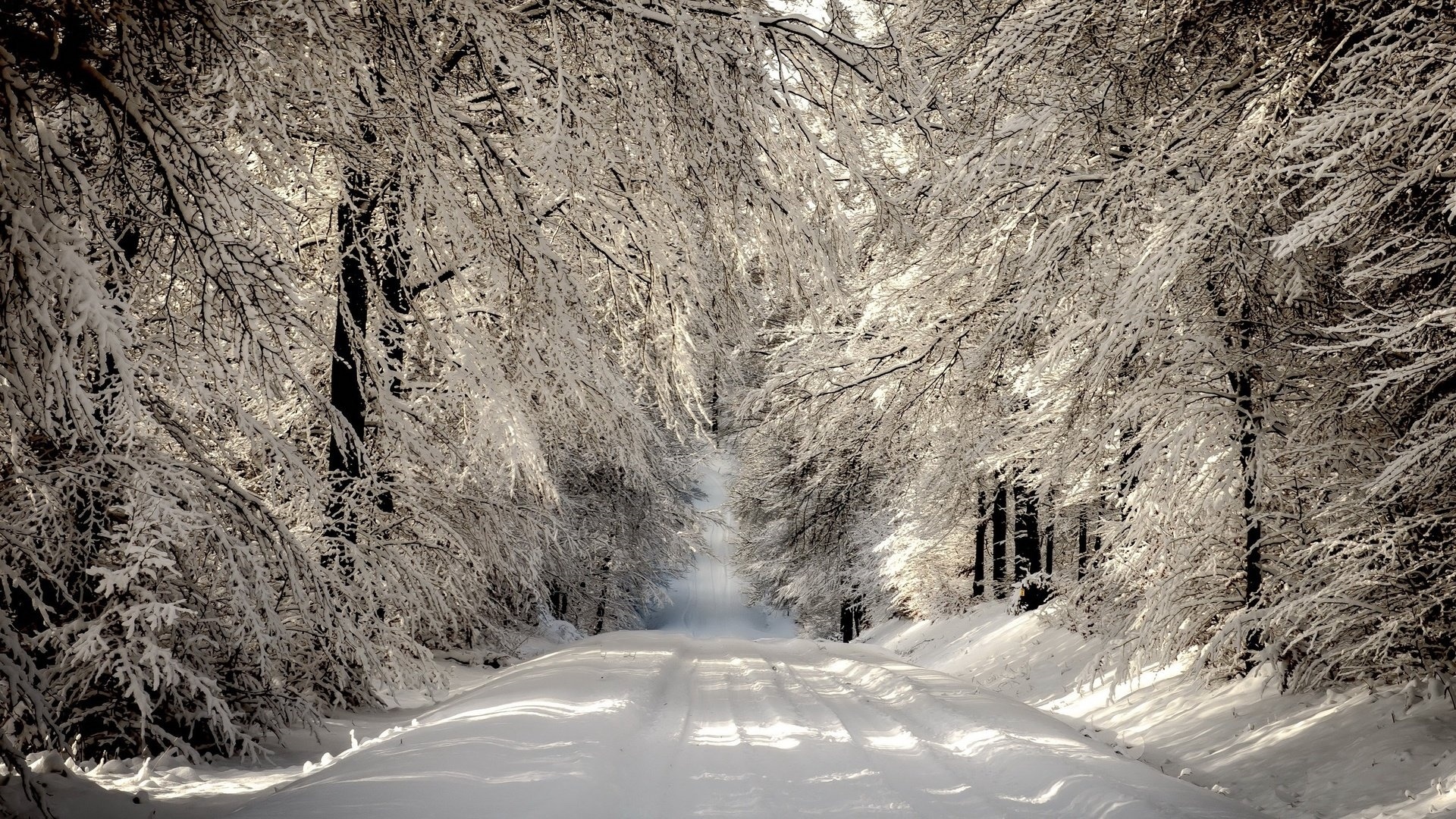 Winter Road Image