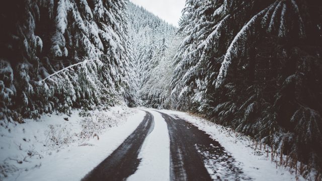 Winter Road Wallpaper