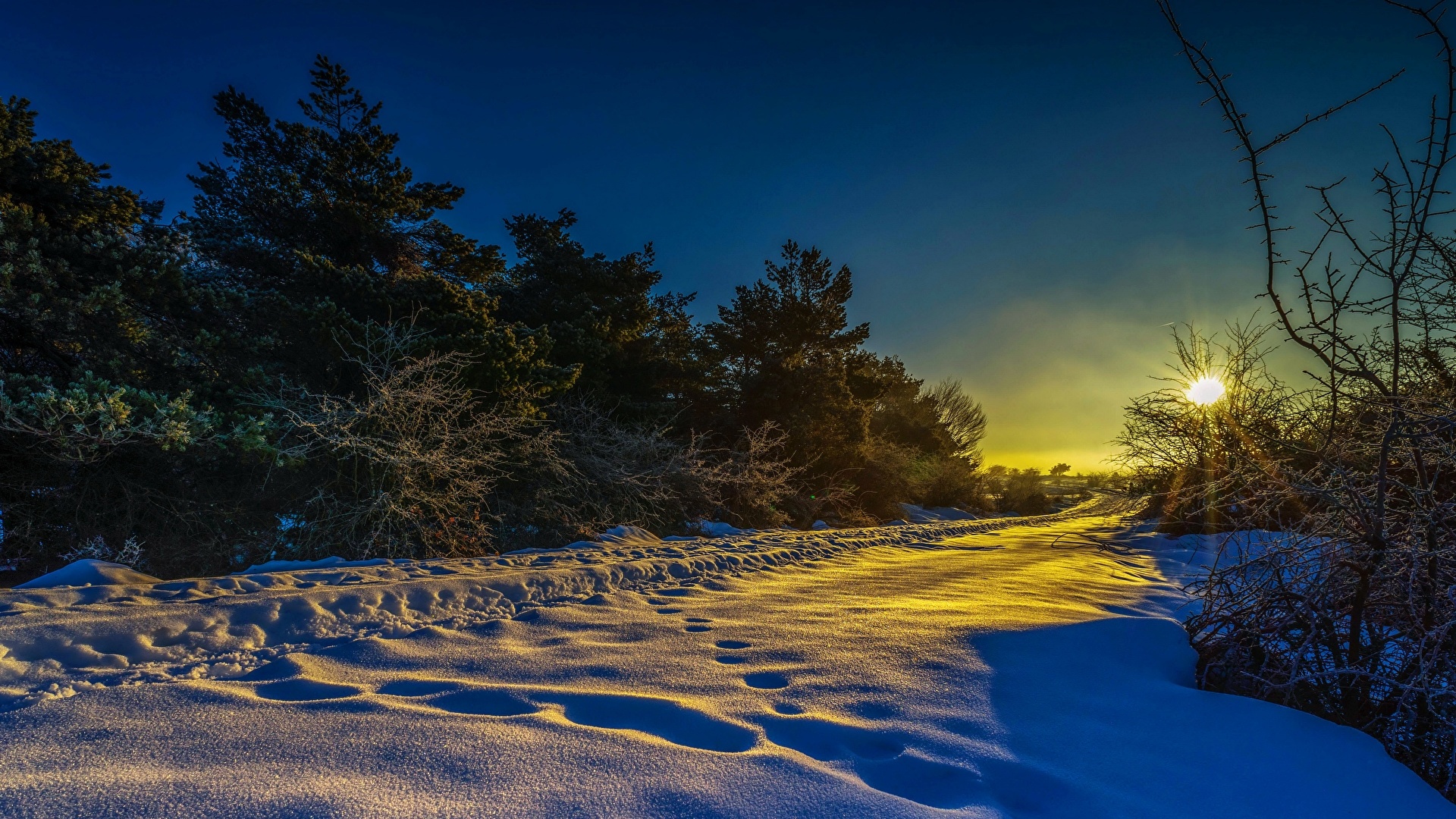 Winter Sunset Image