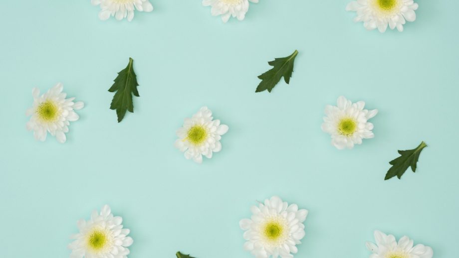 26 Flower Minimalist Wallpapers - Wallpaperboat