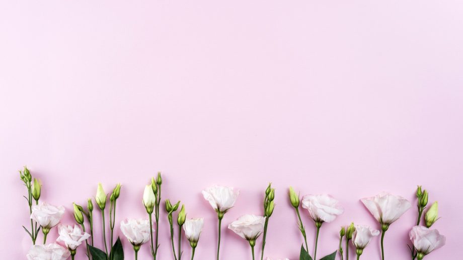 26 Flower Minimalist Wallpapers - Wallpaperboat