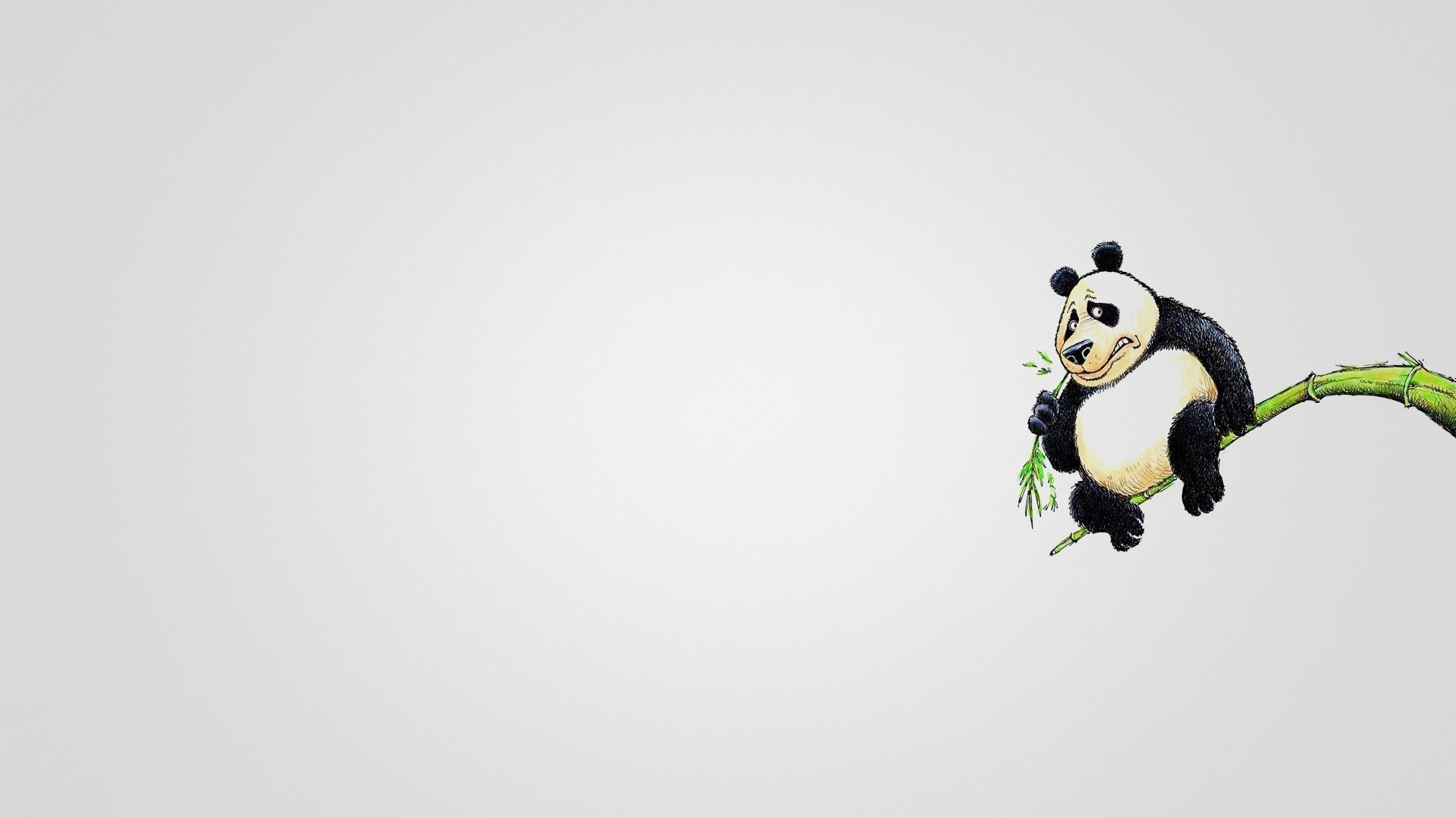 Panda Minimalist Pic
