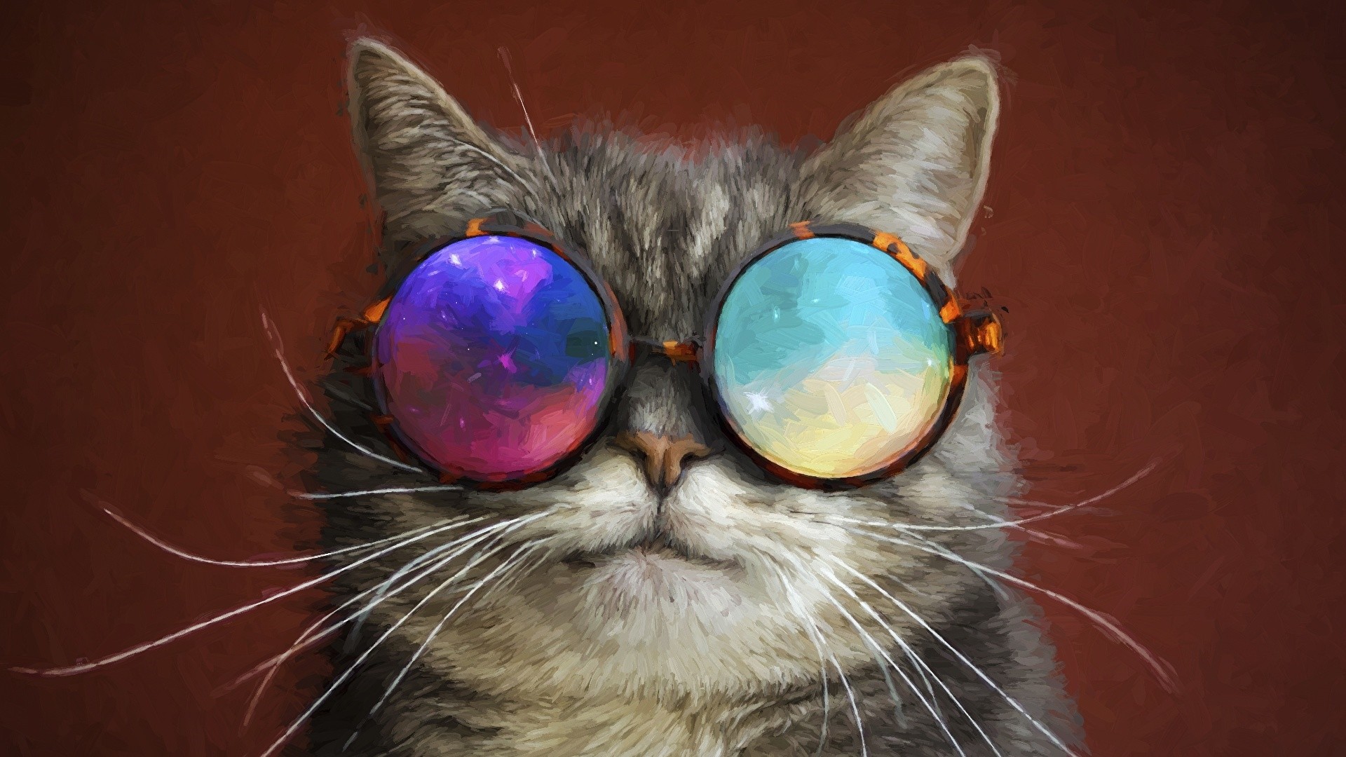 Cat With Glasses Wallpaper