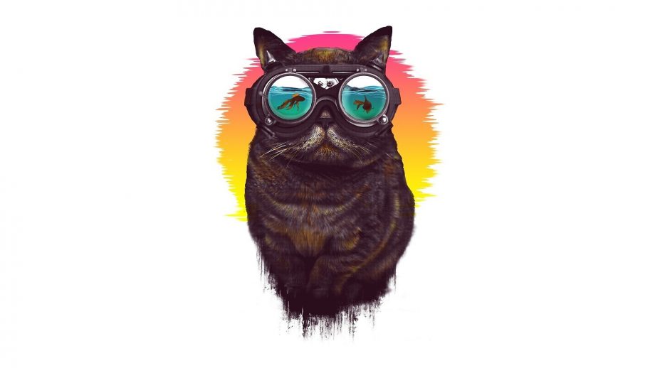 25 Cat with Glasses Wallpapers - Wallpaperboat