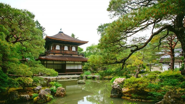 Japanese Garden Pic
