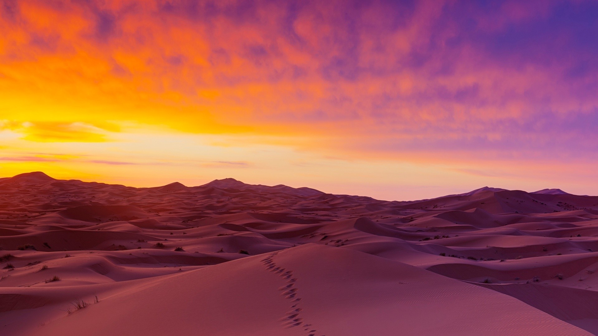 Sahara Picture
