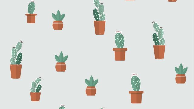 24 Cactus Minimalist - Wallpaperboat