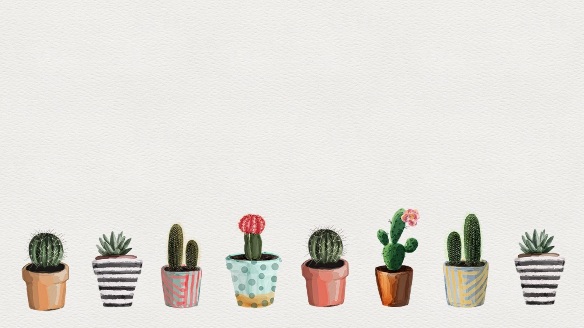 Cactus Minimalist wallpaper for computer