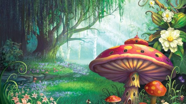 Cartoon Mushroom HD Wallpaper