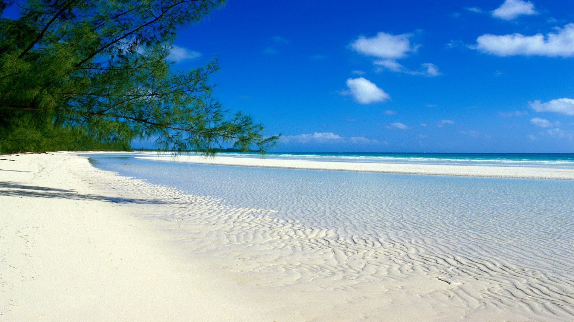 Sea White Sand Background