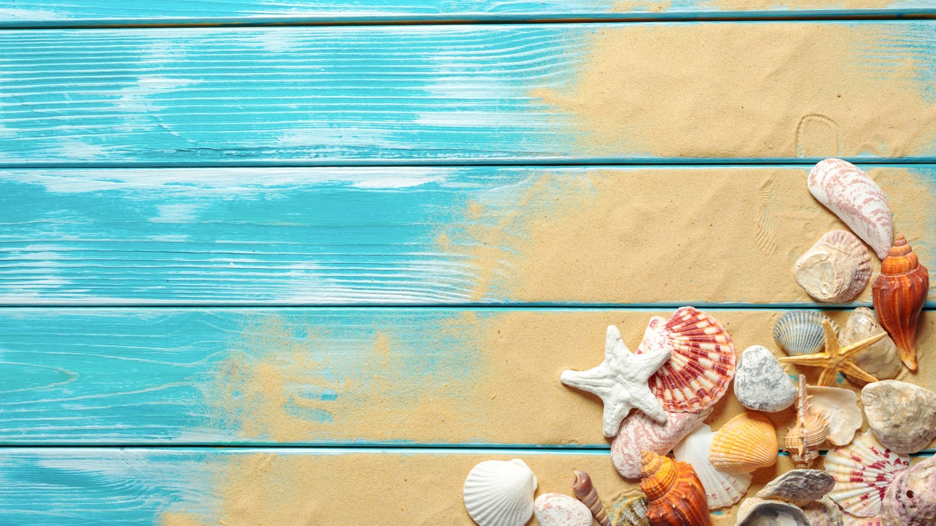 Seashells On Boards wallpaper for desktop
