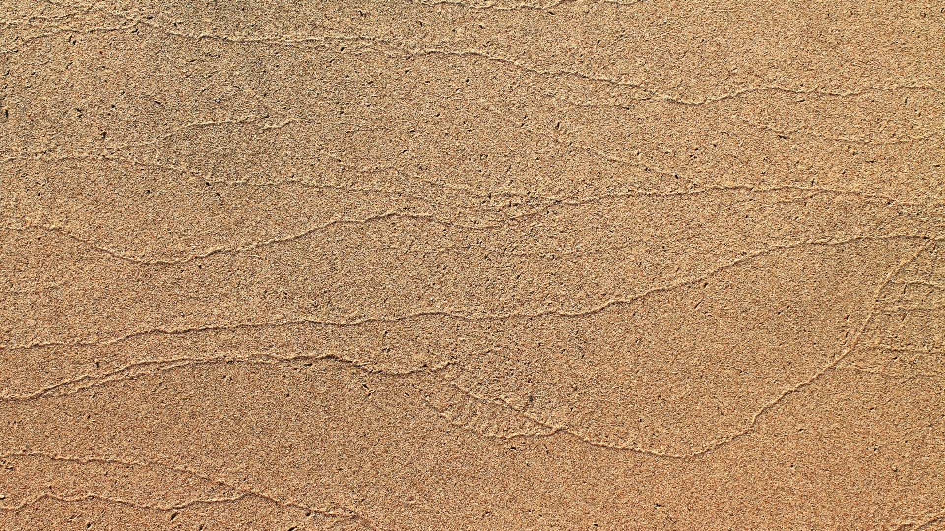 Texture Sand Image