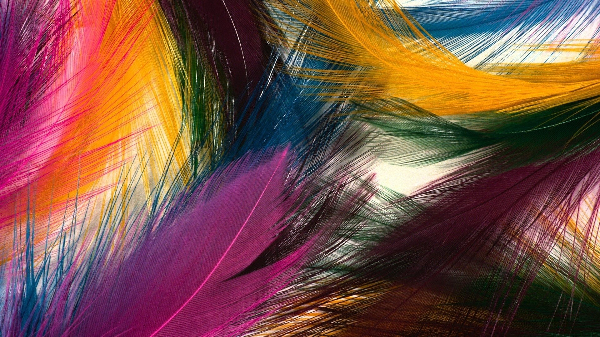 Feathers Wallpaper theme