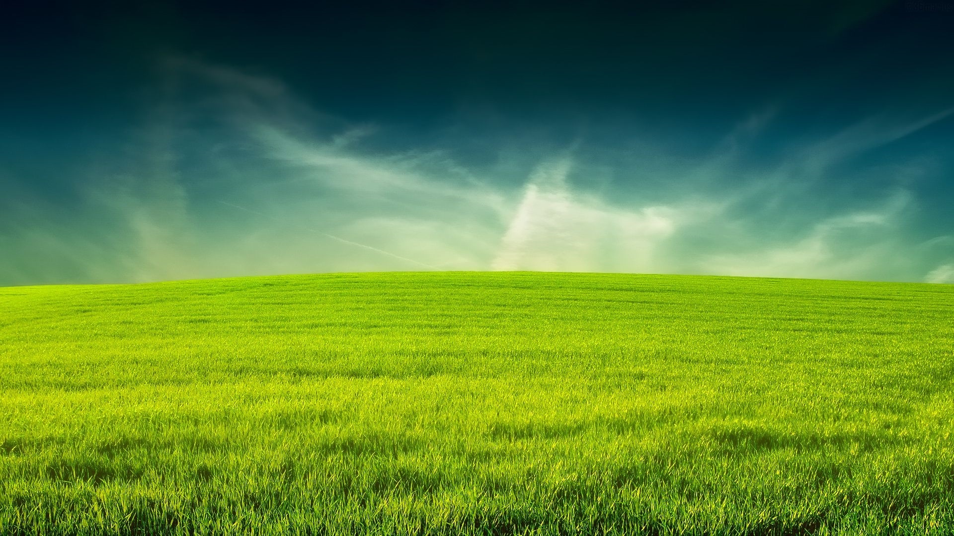 Green Grass Desktop Wallpaper