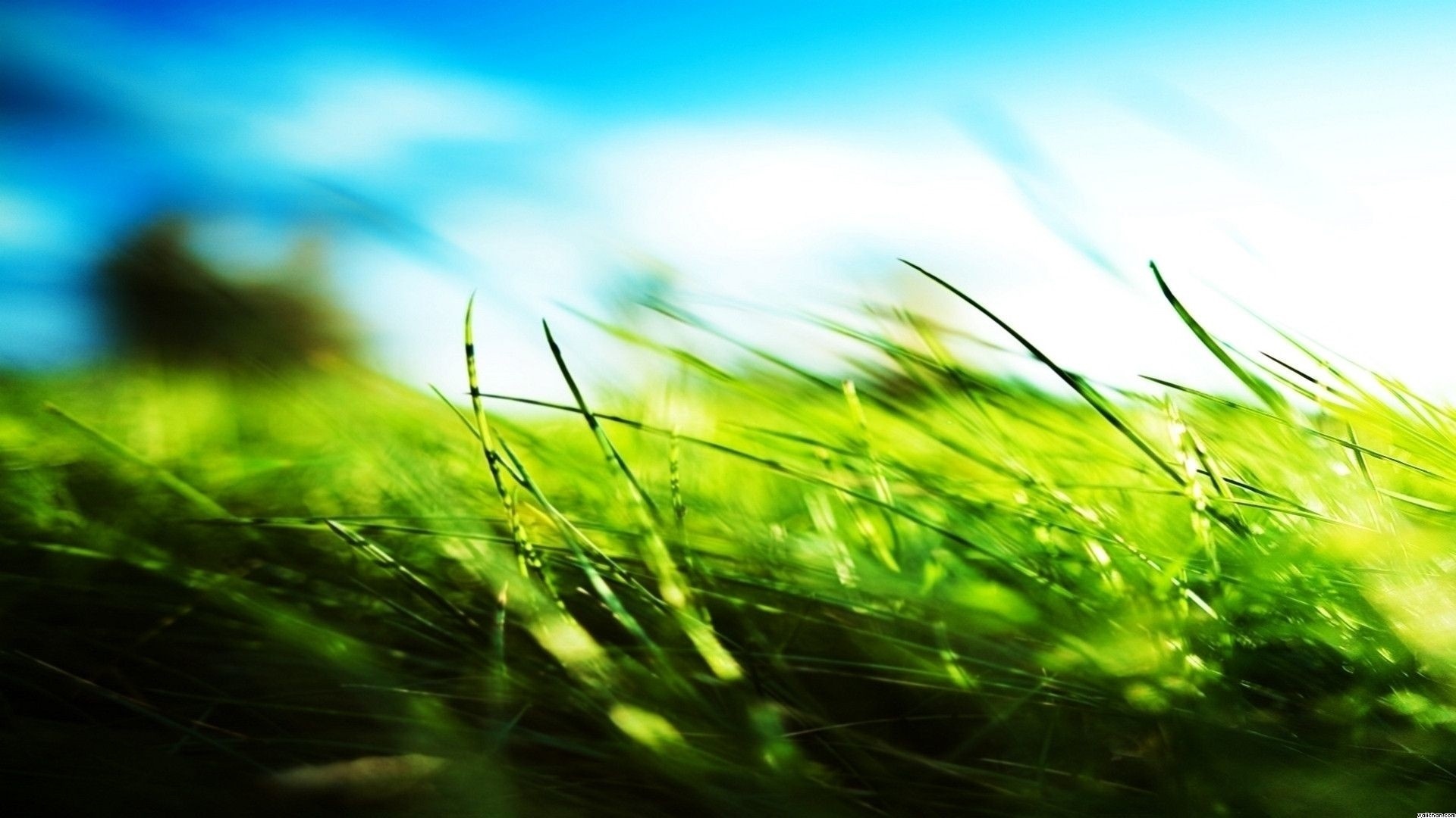 Sky And Grass Wallpaper theme