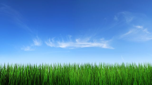 25 Sky and Grass Wallpapers - Wallpaperboat