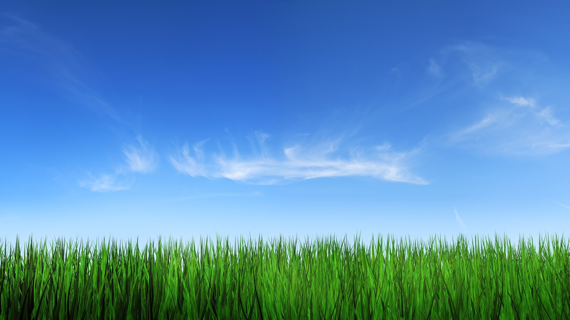 Sky And Grass Pic