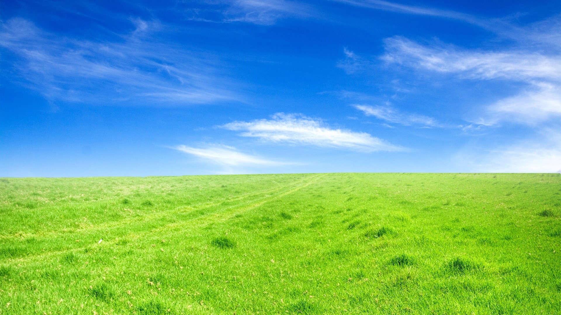 Sky And Grass desktop wallpaper hd