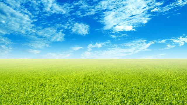 25 Sky and Grass Wallpapers - Wallpaperboat