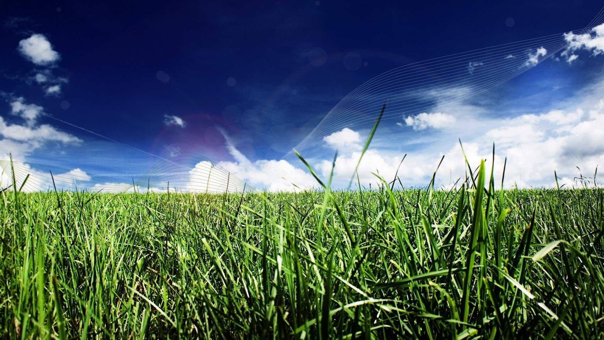 Sky And Grass HD Wallpaper