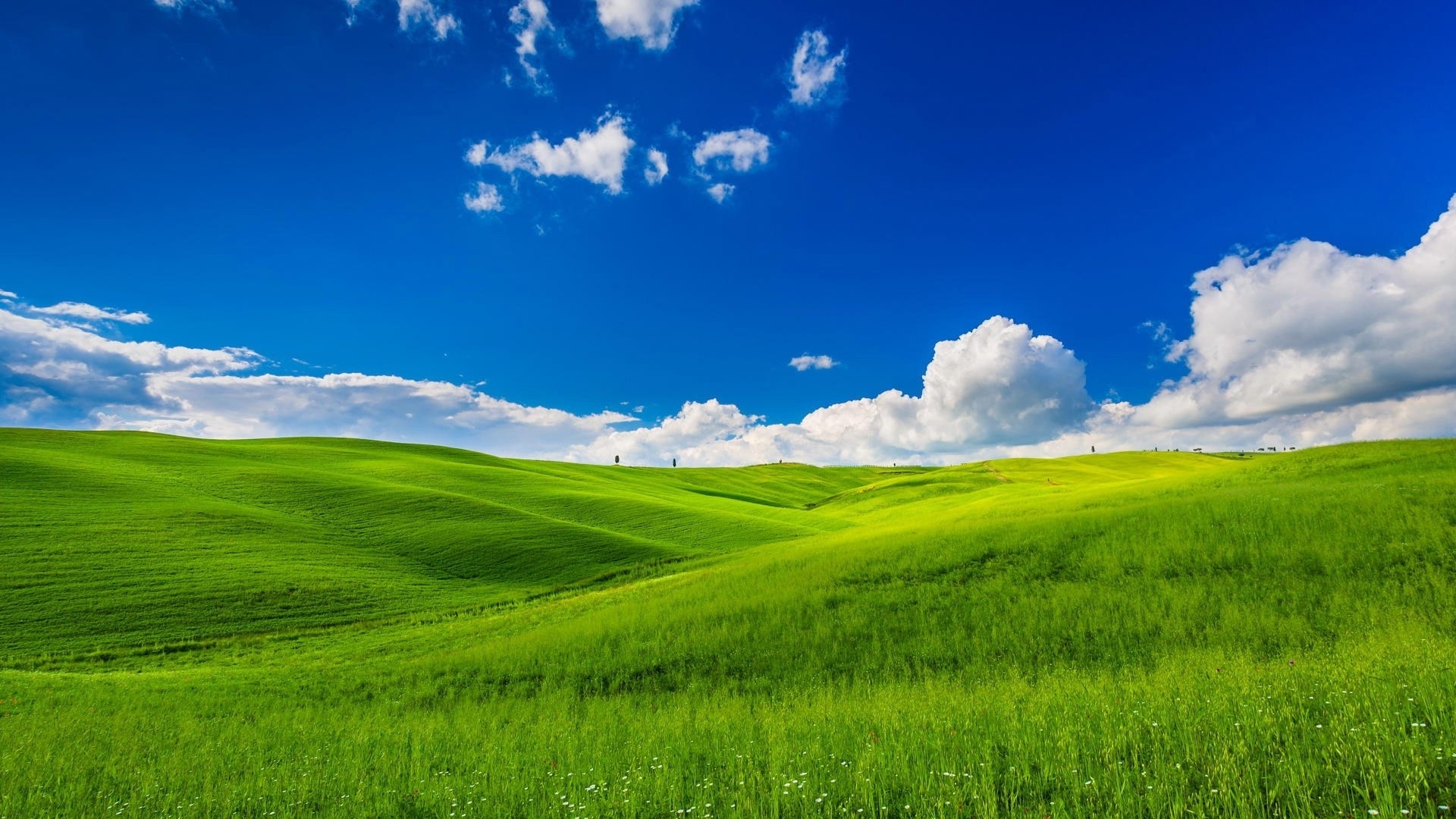 Sky And Grass wallpaper for pc