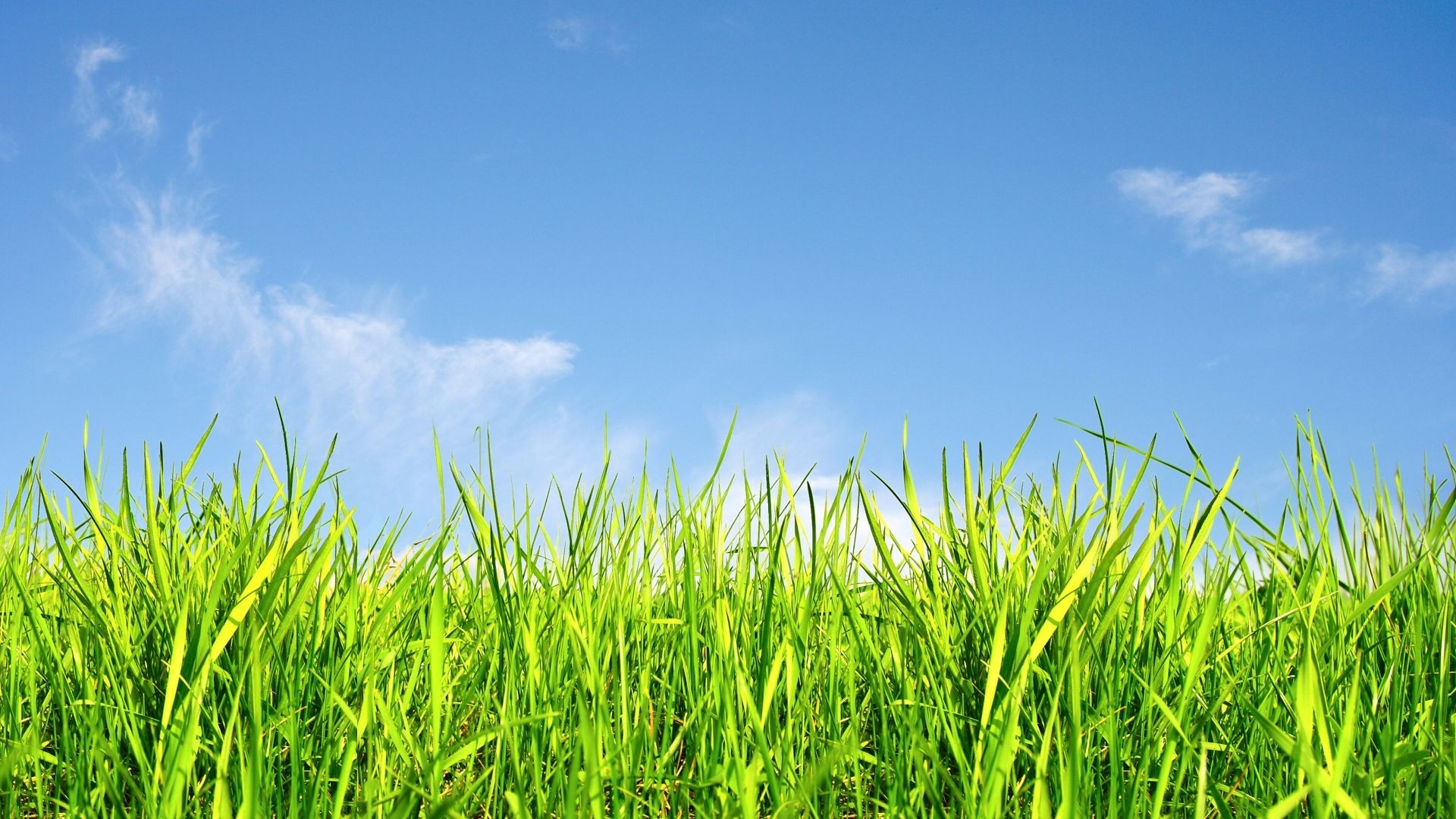 Sky And Grass Desktop Wallpaper