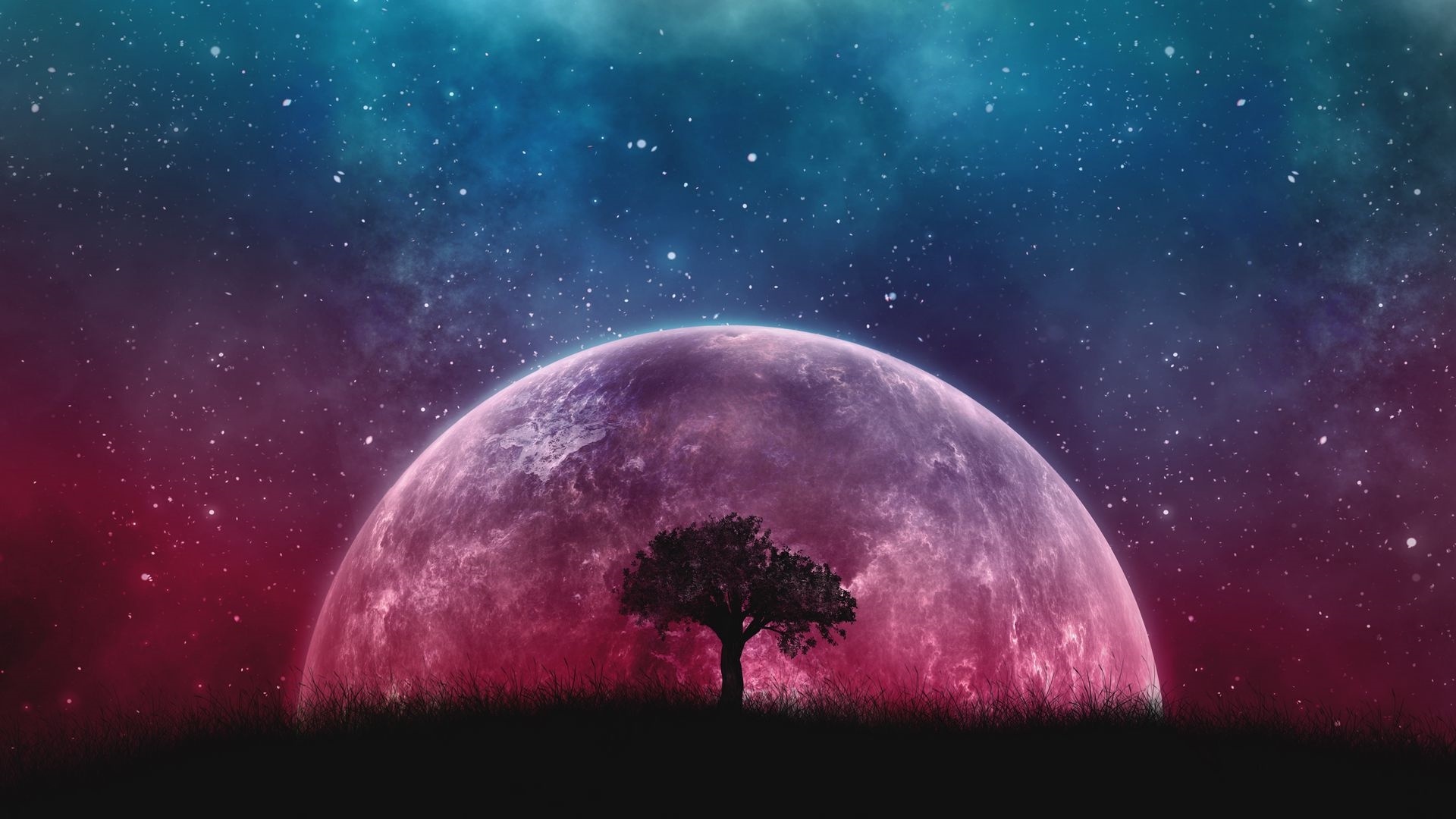 Tree And Space computer wallpaper