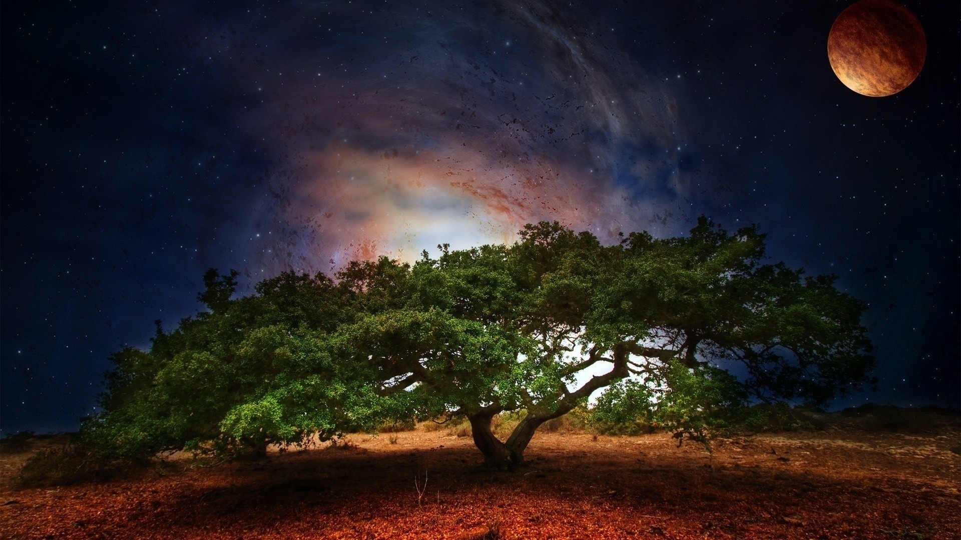 Tree And Space Background