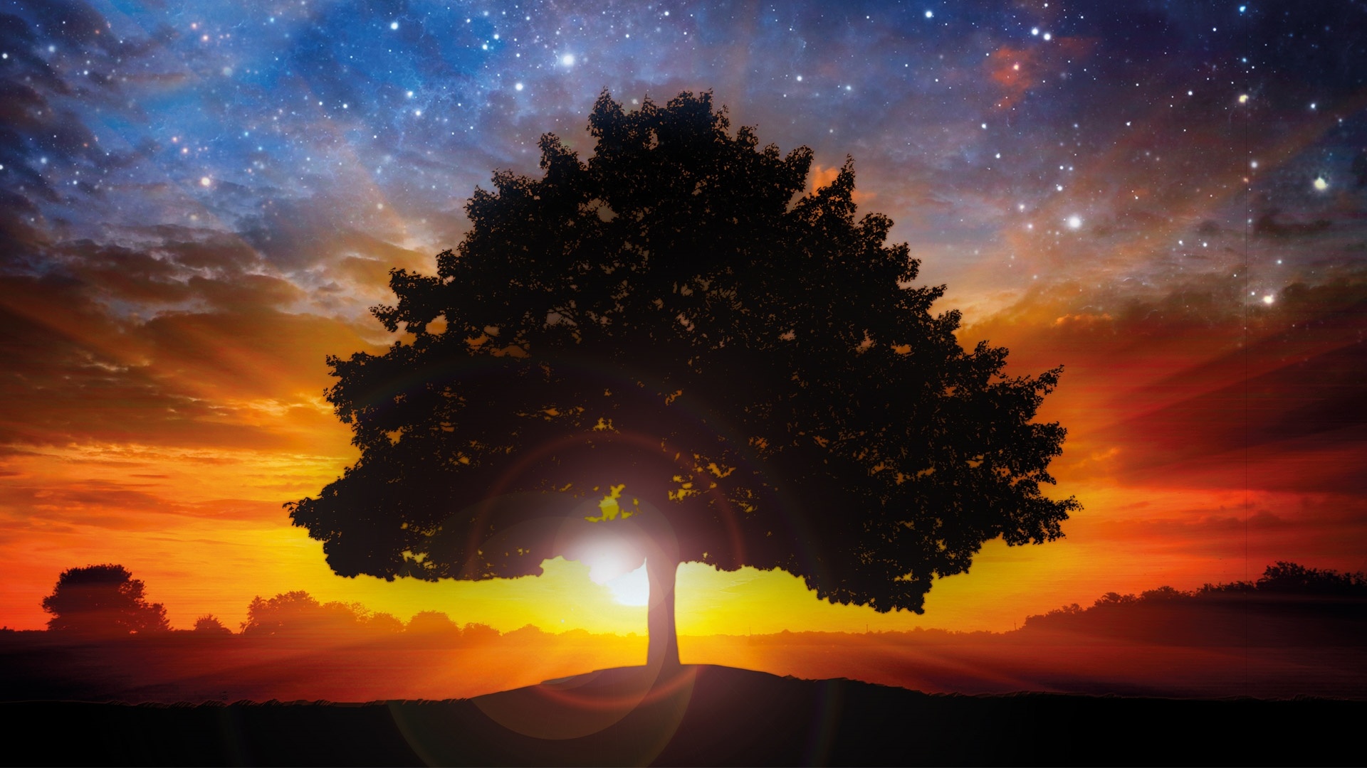 Tree And Space wallpaper for pc
