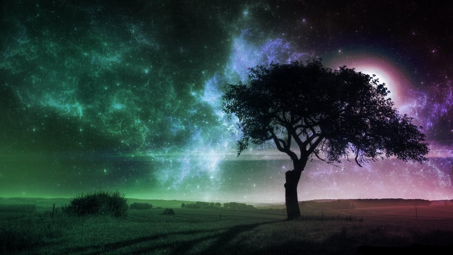 Tree And Space computer wallpaper