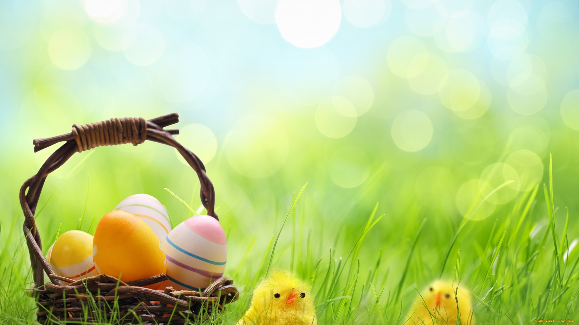 Background For Easter Card HD Wallpaper