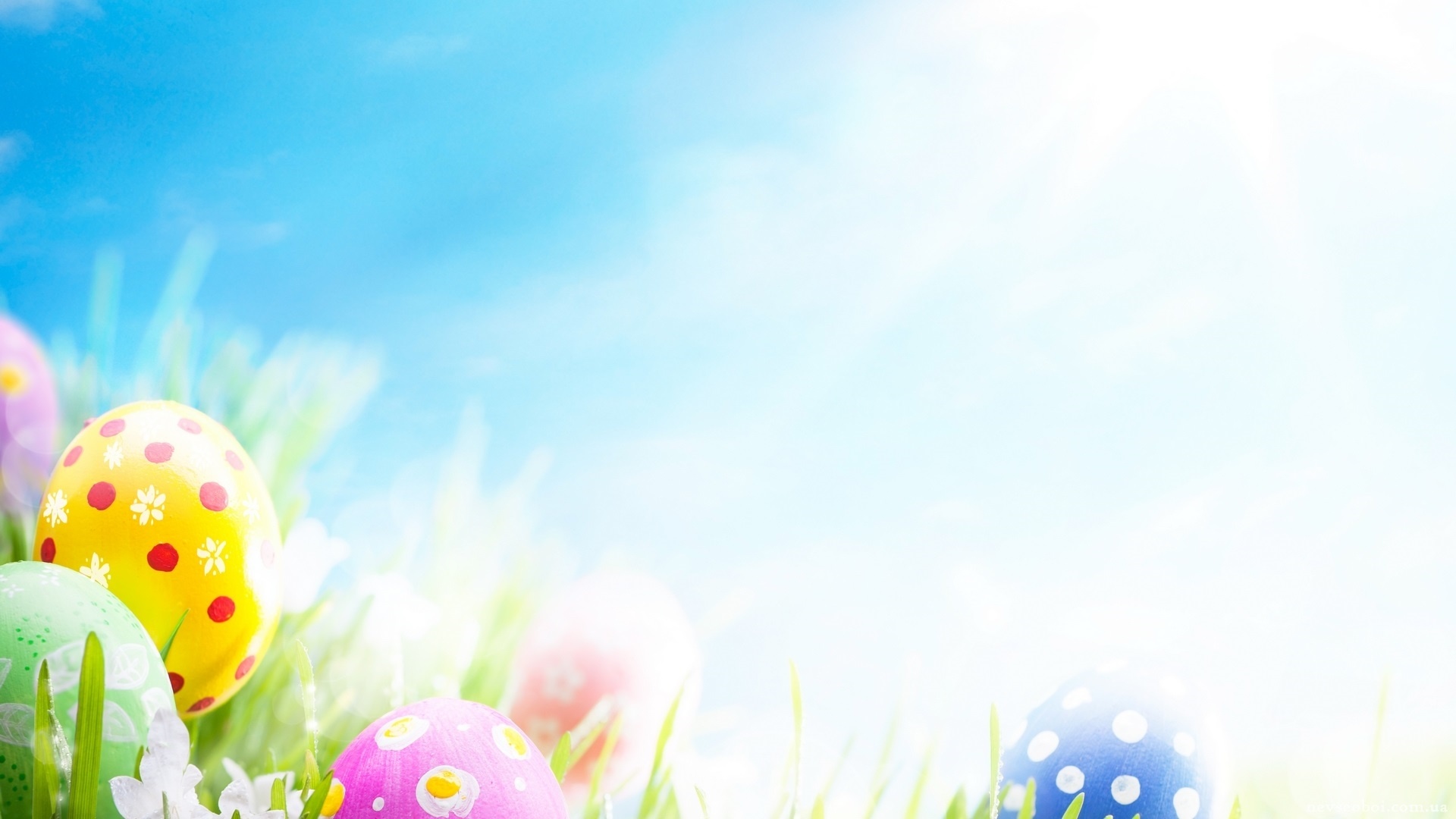 Background For Easter Card Wallpaper
