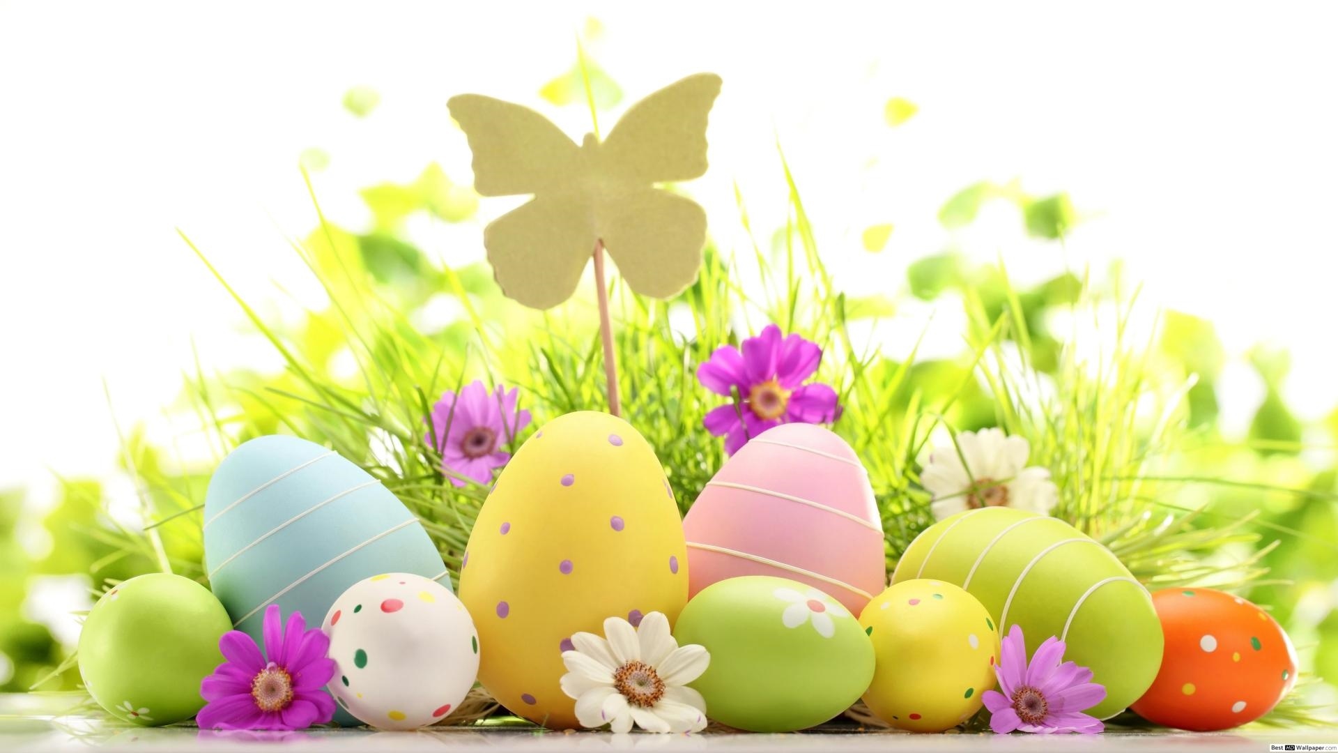 Background For Easter Card Picture