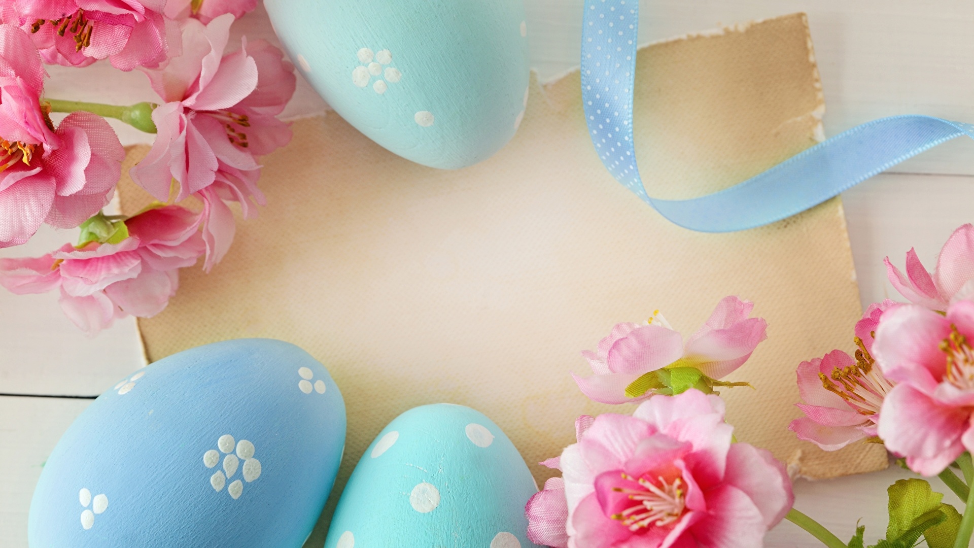Background For Easter Card Picture