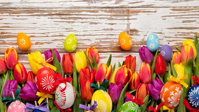 30 Easter Flowers Wallpapers - Wallpaperboat